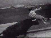 360压缩看图软件