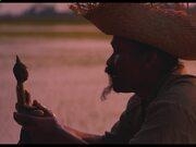 书法家秀宋体字体