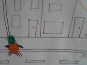 悟空体育appV1.2专业版