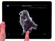 开云app官方版最新下载 2025最新版 守护者俯瞰最后城市场景