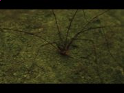 686体育官网安卓版二维码