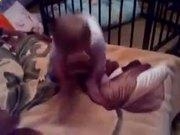 澳门现金appapp2025最新版中州大陆全景地图