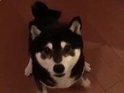 宝威体育手机版V4.6专业版