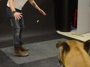 安兔兔评测3d插件