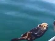 全国网赌网站安卓版二维码