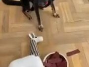 河南汽车维修平台APP