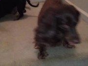 qq浏览器hd安卓版(apad)