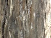 河南汽车维修平台APP