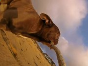 CQ9注册V5.7专业版