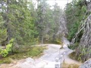 大阳城集团99aaapp