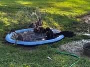 金山网盾64位版