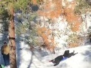 上海威廉注册V4.9专业版