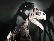 五大联赛投注平台V3.5专业版