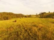 乐鱼娱乐官网下载