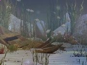 开云入口官网V8.1专业版