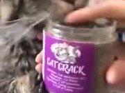 环球APP官方下载V5.6专业版