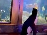 天博综合体育APP安卓版二维码