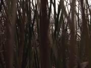 红树林国际娱乐appV9.2专业版