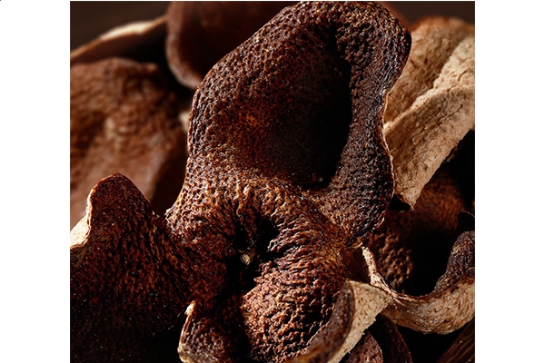 东方果博app最新版科技研究界面