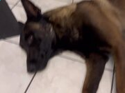 爱赢集团2025最新版时间断裂场景