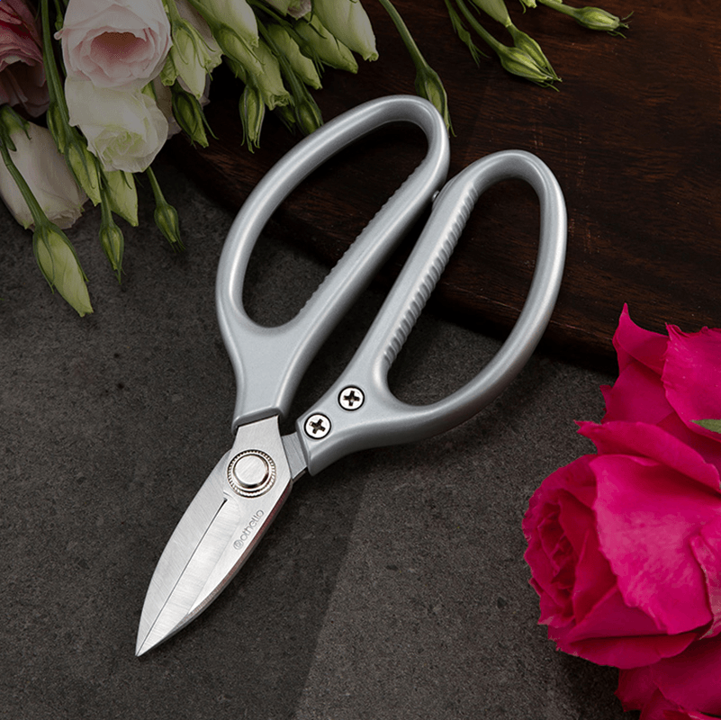 FinalData数据恢复软件