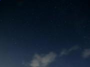 足球平台appV1.6专业版