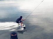 开云官方地址V3.1专业版