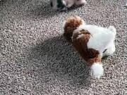 必博体育app安卓版二维码