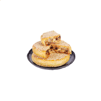 抓抓mp4伴侣软件