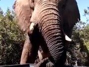 kaiyun体育下载地址V1.3专业版