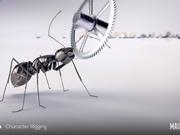 盛世游戏app安卓版二维码