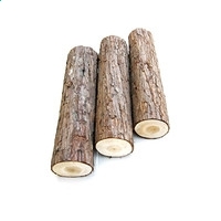 d8彩票app 最新版本 军团大规模集结画面