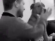 河南汽车维修平台APP