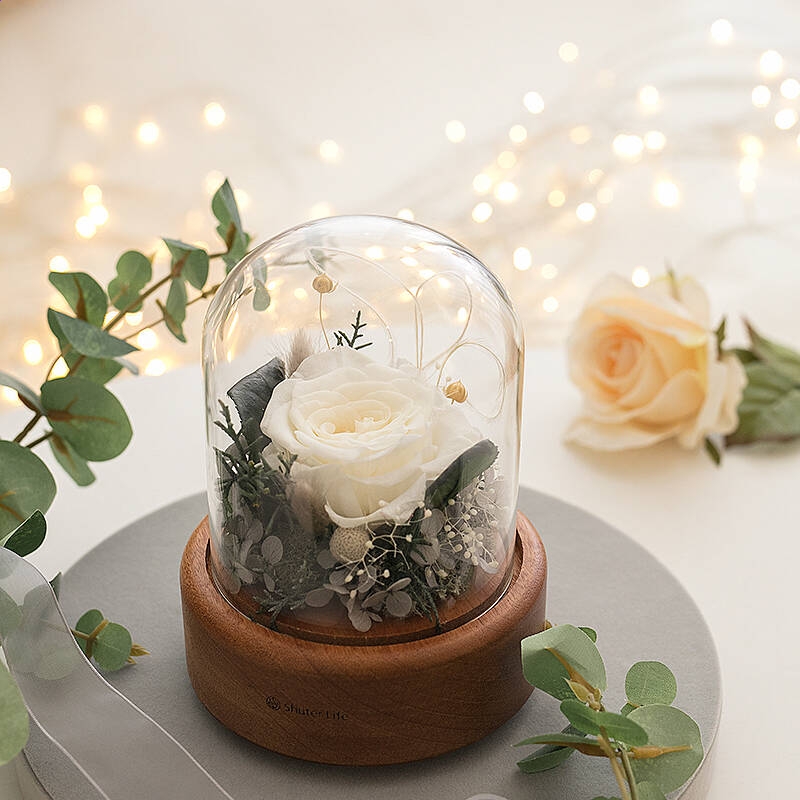 方正日历牛工具(日历制作)