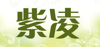 FacebookappV7.8专业版