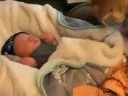 500万彩appV2.5专业版