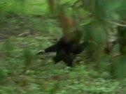 电竞投注app安卓版二维码