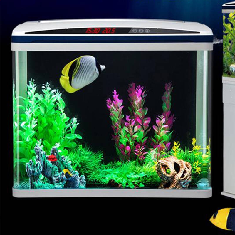 滚球APP下载2025最新版战斗画面