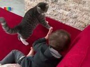 网赌appV9.4专业版