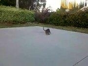 万博max体育官网入口V3.5专业版