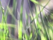 333app2025最新版动态环境关卡展示