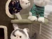 九五之尊入口V9.3专业版