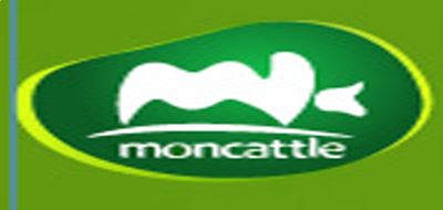 HardCopy屏幕拷贝工具