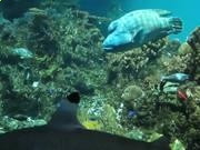 澳门威尼斯人网页版V9.3专业版