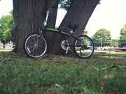 宝贝学英语单词app