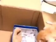 ku游体育app安卓版二维码