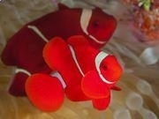 金金网appV3.6专业版