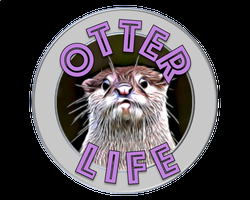 tvtapp安卓版二维码