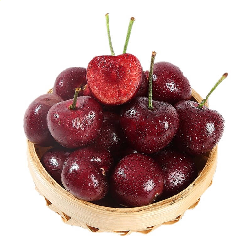 天博tb体育综合官方网站