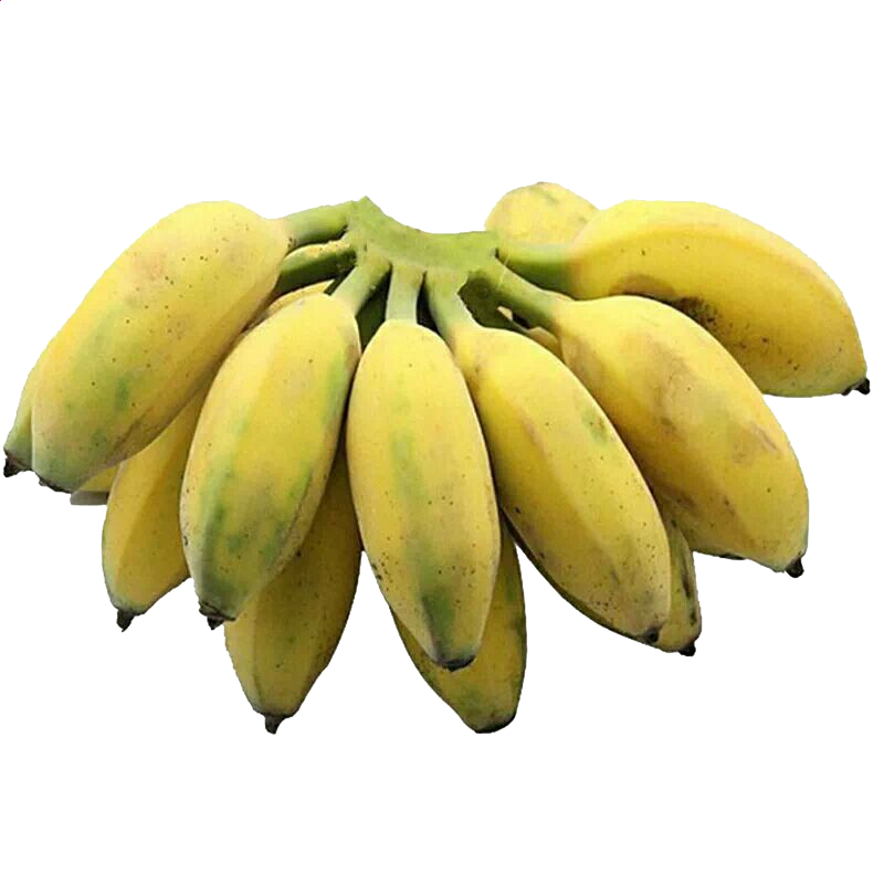 YGR捕鱼app安卓版二维码